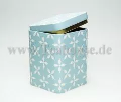 Dose Lewis hell blau 100g